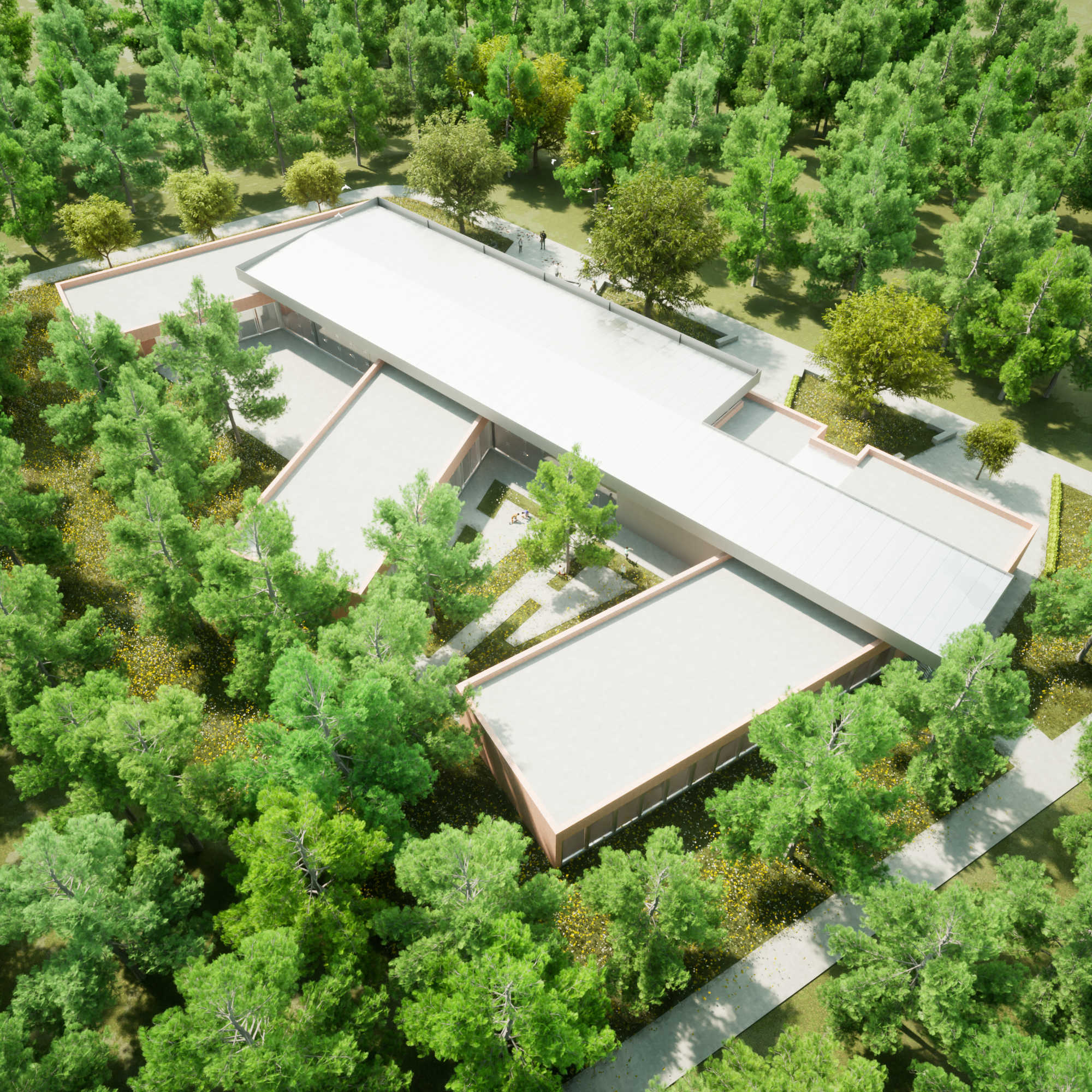 ETC - Montes de Solymar — imagen 3