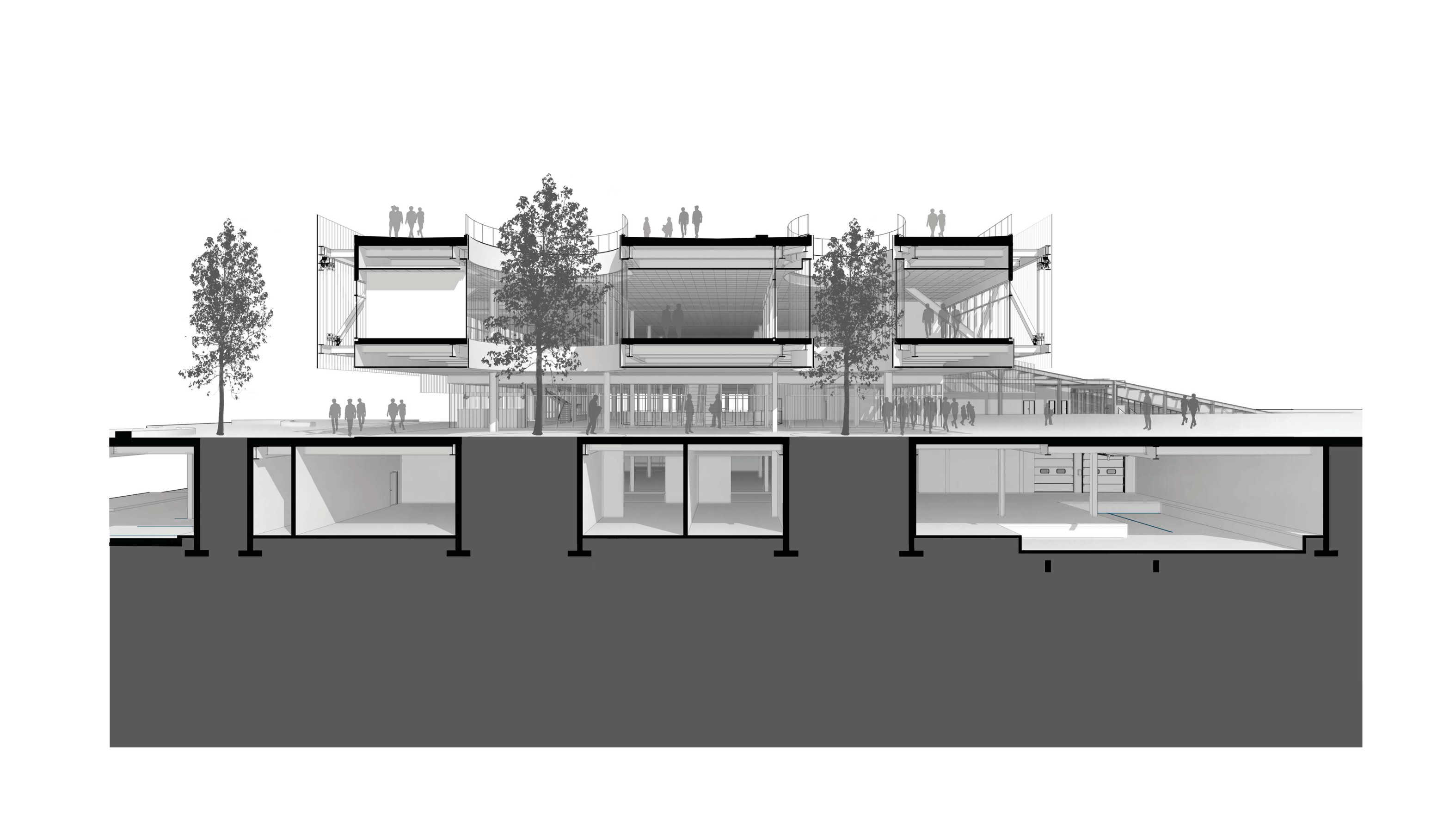 InterSUR — imagen 16